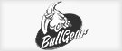 Bull Gear